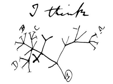Charles Darwin's first evolutionary tree sketch labeled 'I think'