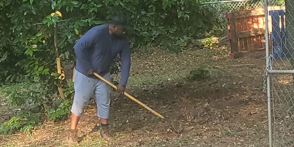 Man raking leaves in a backyard on a sunny day.