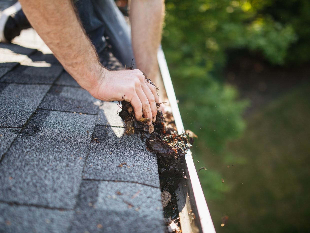 Hands cleaning debris from a roof gutter on a shingled roof.