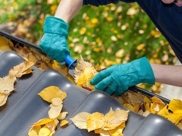 Worker wearing green gloves cleaning gutters filled with yellow autumn leaves using a small scoop.