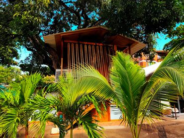 A wooden treehouse surrounded by lush green palm leaves under a clear blue sky.