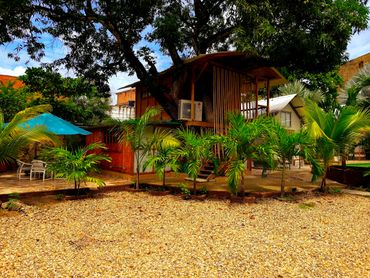 Cozy wooden cabin surrounded by lush tropical plants and gravel ground.