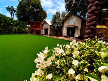 A lush garden with white flowers and two small houses under a bright sky.