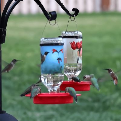The Hummingbird Store hummingbird feeders attracting lots of hummingbirds