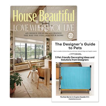 Secured media coverage in major home decor publication for safety product for babies and dogs.