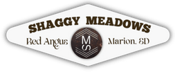 Shaggy Meadows Red Angus
