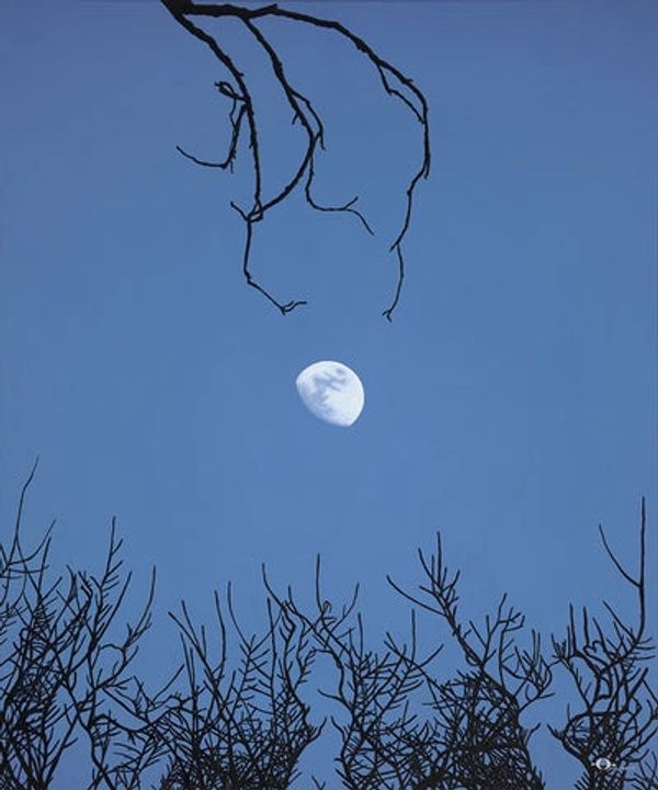 Moon visible in a clear blue sky framed by leafless tree branches.