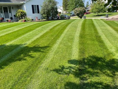 LAWN CUTTING
