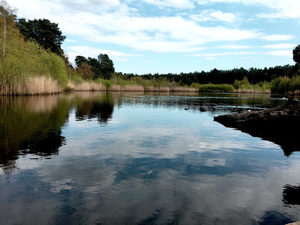 Calm lake reflecting sky and surrounding trees on a peaceful day.