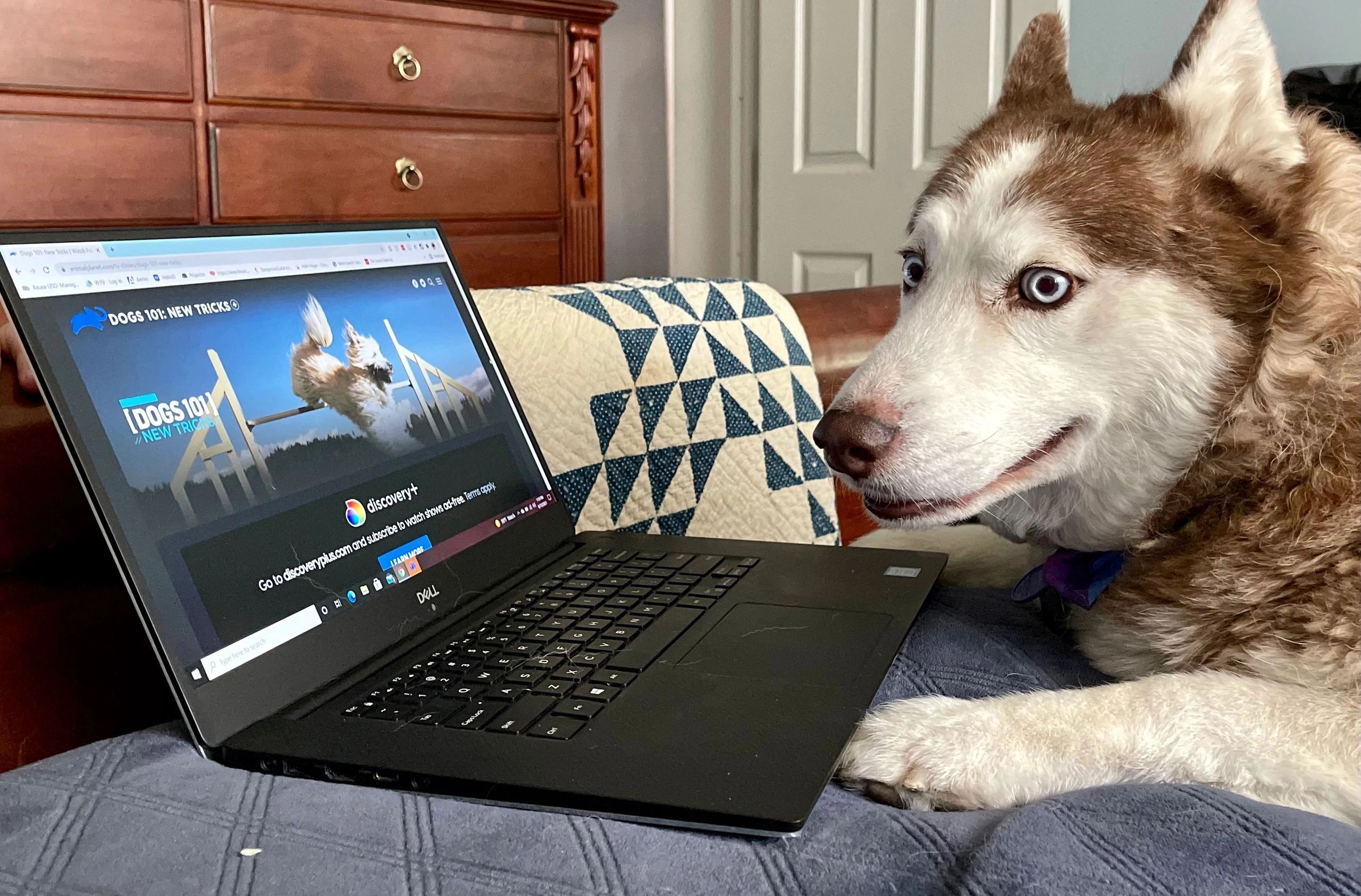 Bianca learning some new tricks