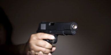 Security Training, Concealed Weapon