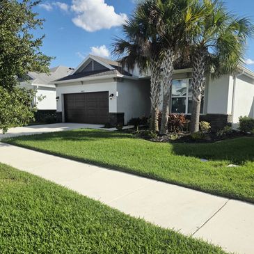 Modern suburban house with a manicured lawn and palm trees.