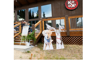 Dog cut-out cardboard at Copper Mountain wedding