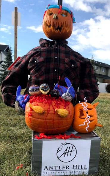 Penhold Fall Festival