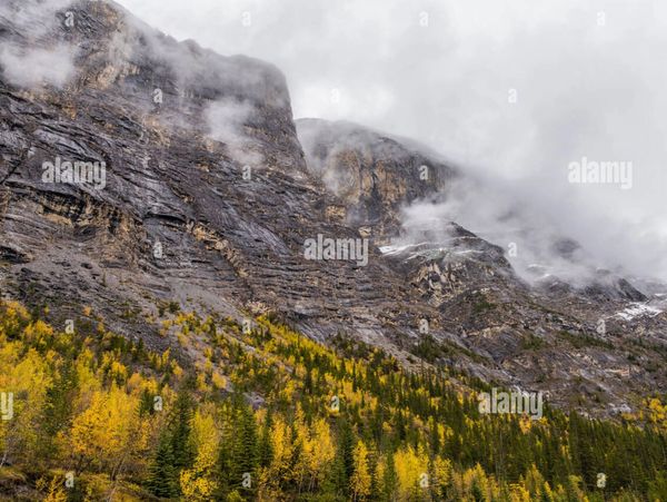 Cirrus Mountain, Autumn, Banff NP, Alberta, Canada, by Bruce Montagne