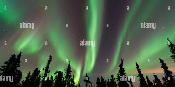 Northern lights, Aurora borealis. North of Fairbanks, Alaska, USA March, 2016, by Dominique Braud
