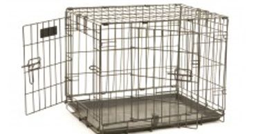 Puppies need a home of their own