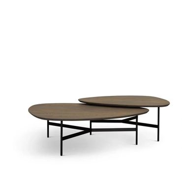 Cartel Living Guts salontafels – moderne set van organische tafels met metalen zwarten pootjes