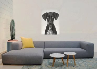 Grijze design zetel, chaise longue en 3 zit, Koozo, Belgisch merk