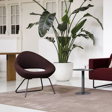 Design en comfort in perfecte balans – de Shark fauteuil van Artifort in een paarse stof