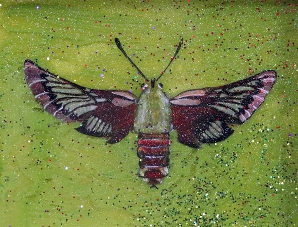 Painting of Moth