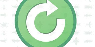 Pest control service, Pest control for my home, pest service, pest exterminator, pest service