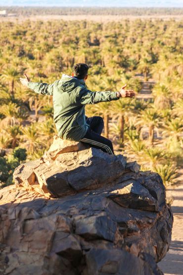 Man sitting on rock overlooking a vast palm forest with arms open wide.