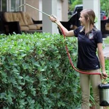 Exterior Pest treatment