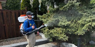 Tick and mosquito protection spray in Etobicoke yard by BuzzSkito – backyard pest barrier for GTA