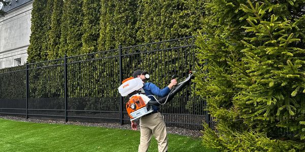BuzzSkito truck and equipment used for residential mosquito control across the GTA