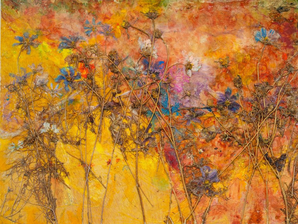 Jenny's Cosmos