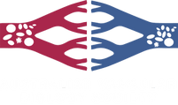 Australian Vascular Biology Society