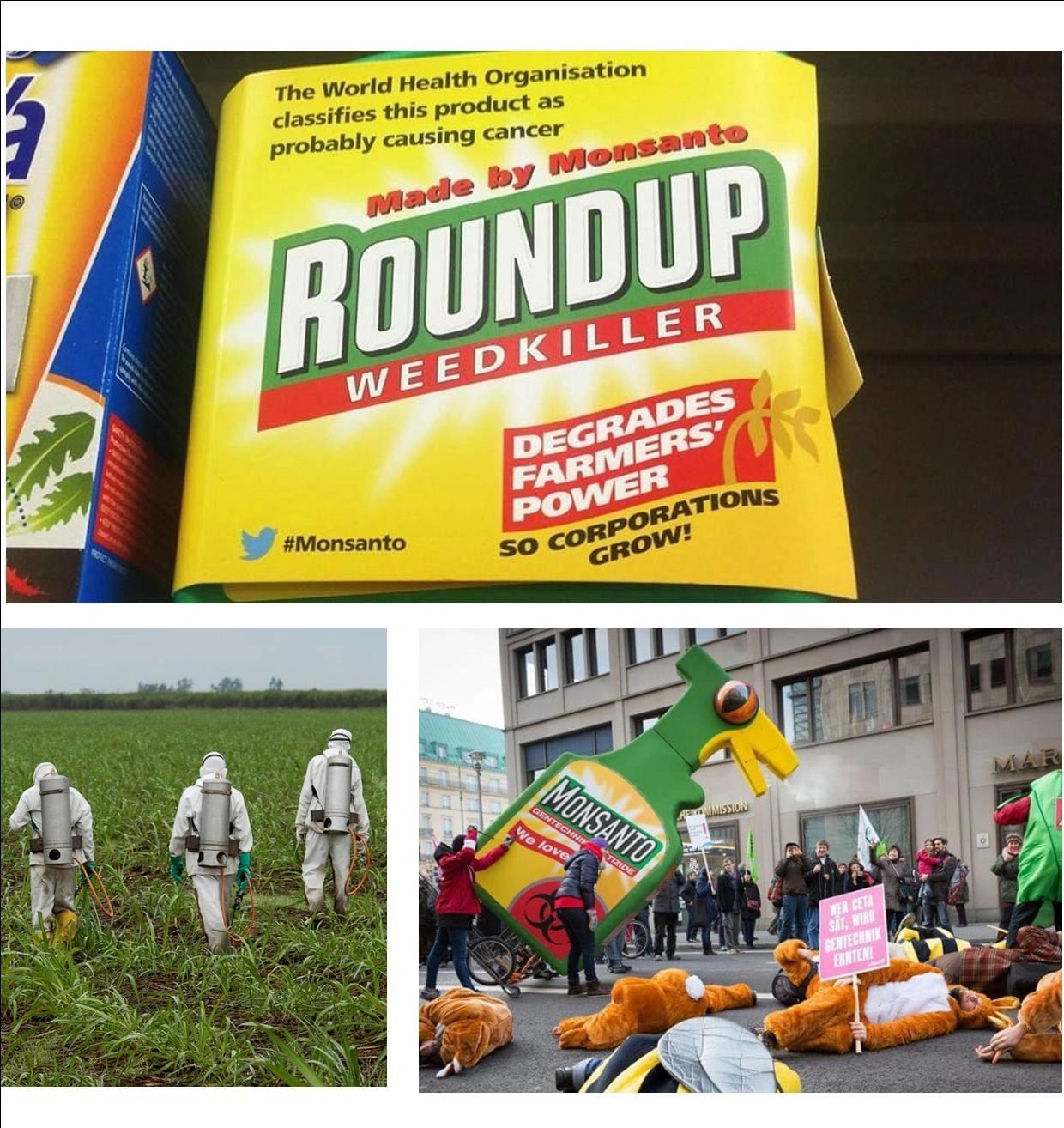 GM FREE SCOTLAND
GLYPHOSATE NEWS
GLYPHOSATE - NATURAL NEWS
ORGANIC CONSUMERS.ORG