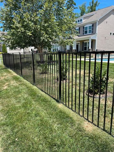 Black metal fence enclosing a backyard with a tree and shrubs.