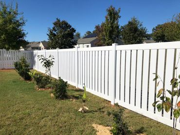White vinyl fence with young plants and clear blue sky.