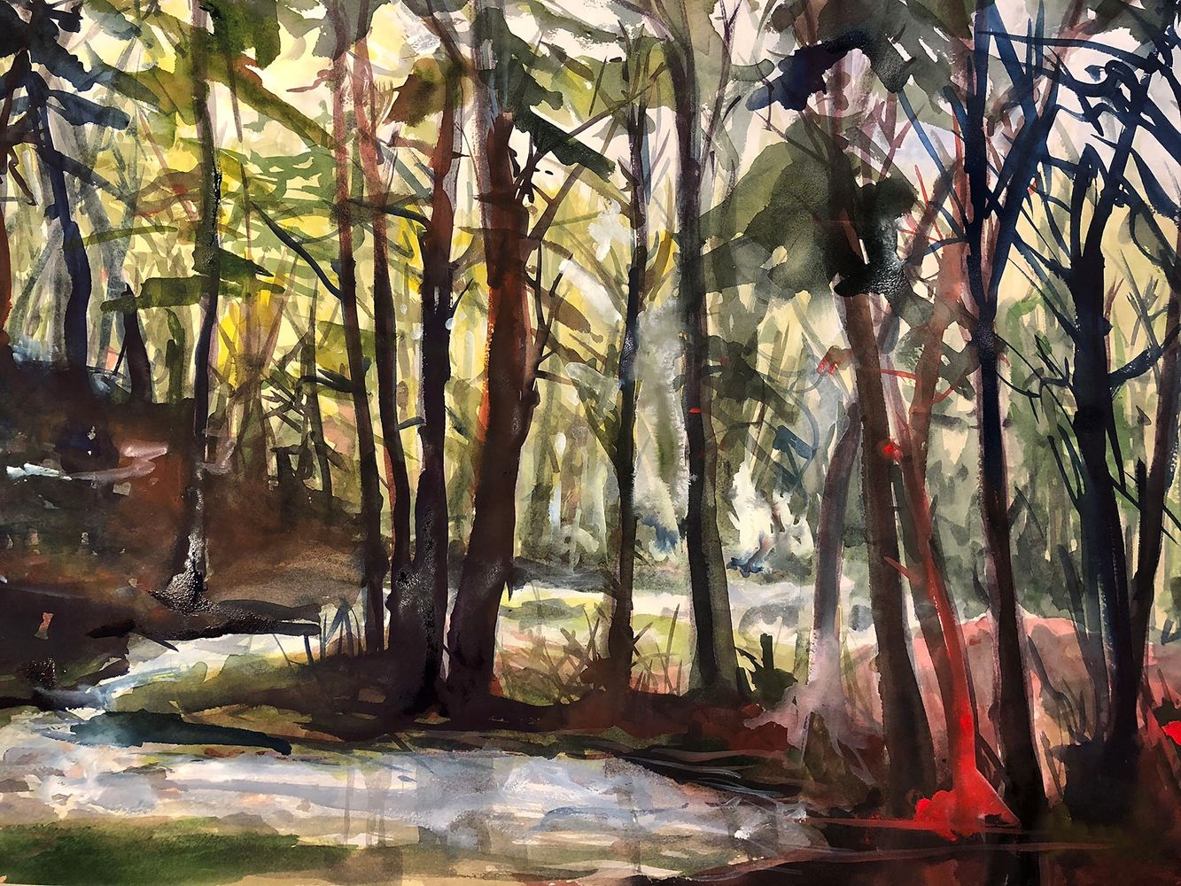 "Backyard brook. Noyes Pond Tributary", Watercolor