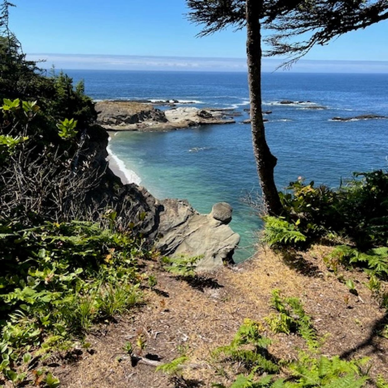 Scenic coastal view with clear blue water, rocky shore, and lush greenery.