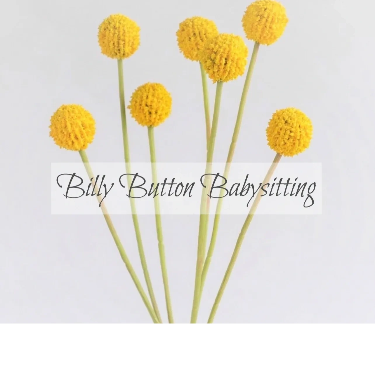 Billy Button Babysitting .com