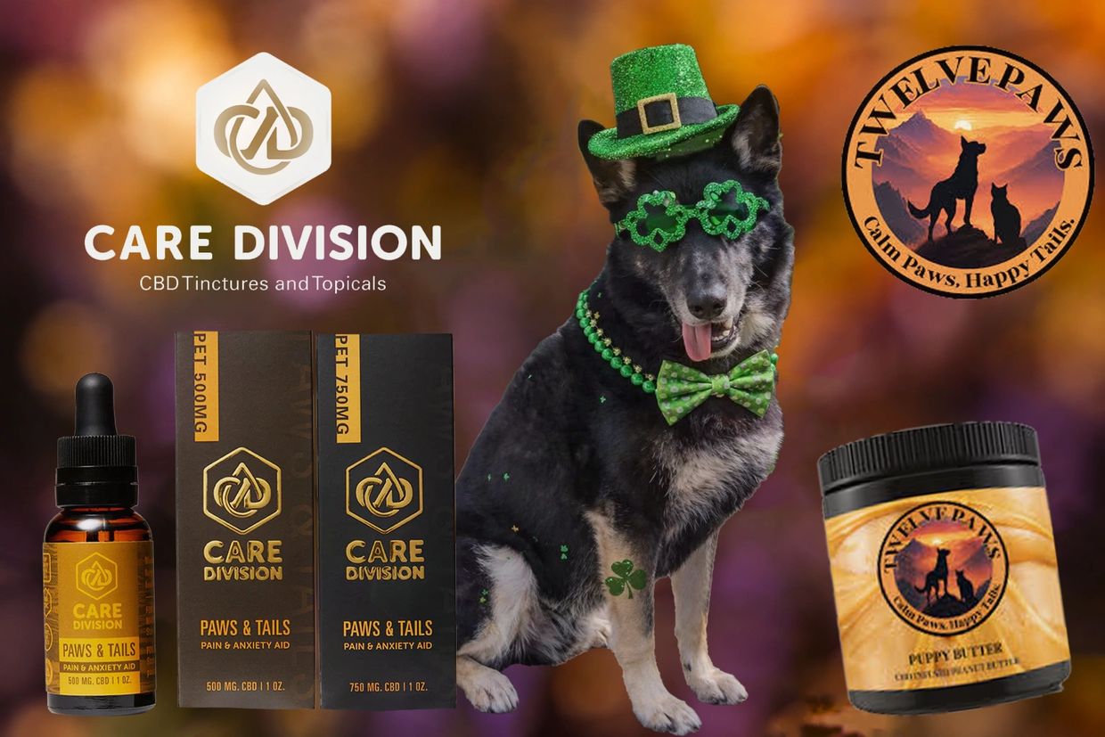 Dog dressed in St. Patrick's Day attire with CBD pet products.