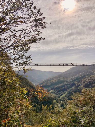 Todtnau Brücke, Schwarzwald