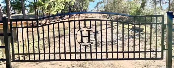 This custom gate not only has the name initial but two custom cut dragon flies to match on top. 