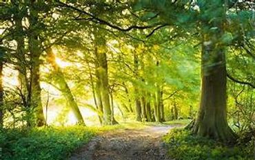 Enlightenment Intensive Dorset 
Dorset Enlightenment Intensive 
NonDual Retreat 
Breakthrough