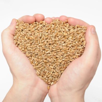 Hands holding grains shaped like a heart.