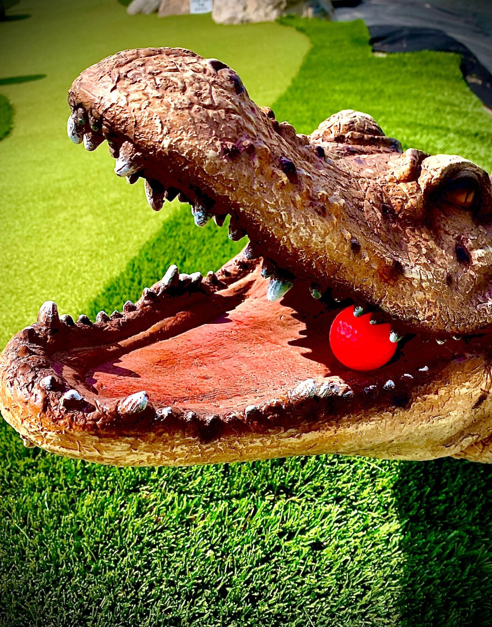 Crocodile with a golf ball in its mouth