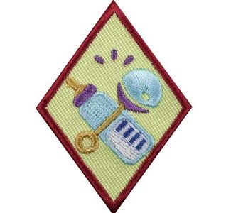 Girl Scout Cadette Babysitting Badge Requirements