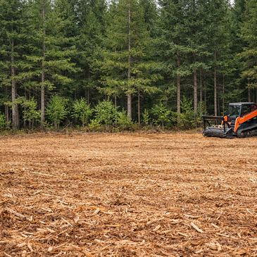 Landscaping & Forestry Services