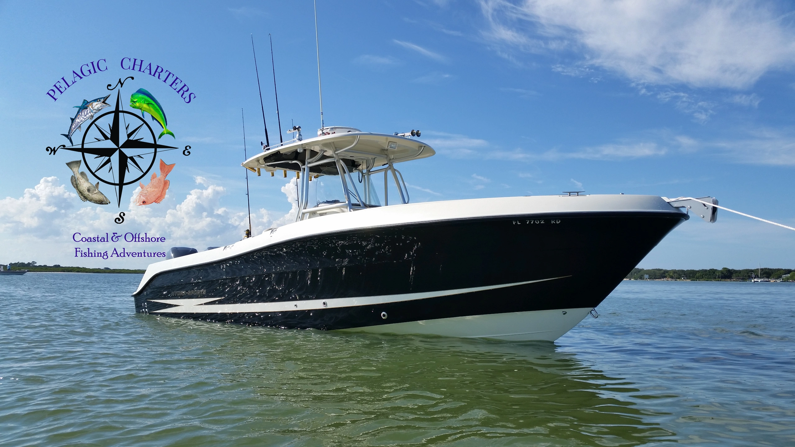 Pelagic Charters - Fishing, Charters in Ponce Inlet, Charters