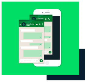 Imagem de whatsup em celular