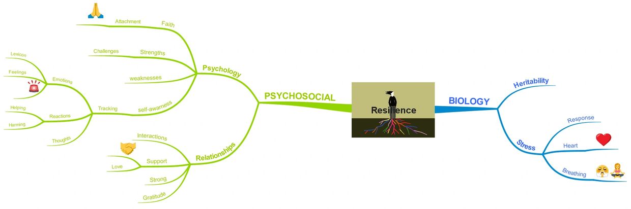 Use Mind Mapping in psychology coaching Mental Health Mental Wellness