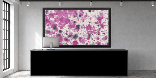 smart frame | Deco Frame receptie - Hal